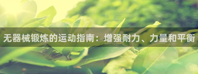 凯时尊龙平台登录：无器械锻炼的运动指南：增强耐力、力