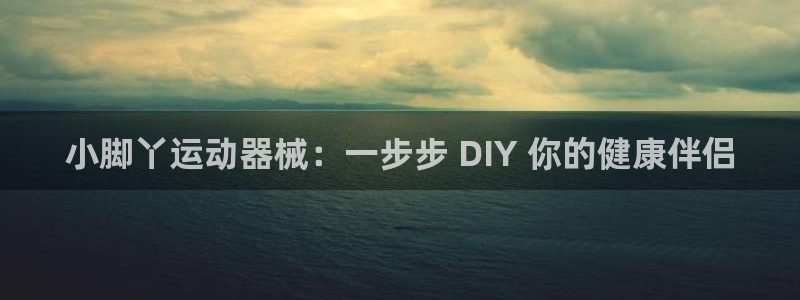 尊龙官网：小脚丫运动器械：一步步 DIY 你的健康伴