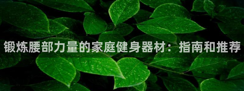 尊龙凯时 人生就是搏!平台：锻炼腰部力量的家庭健身器