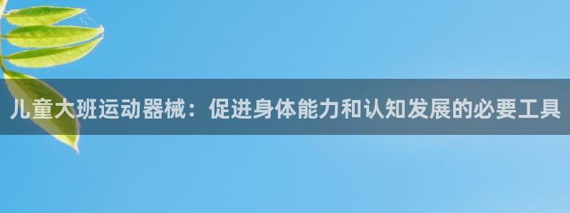 尊龙体育游戏平台：儿童大班运动器械：促进身体能力和认